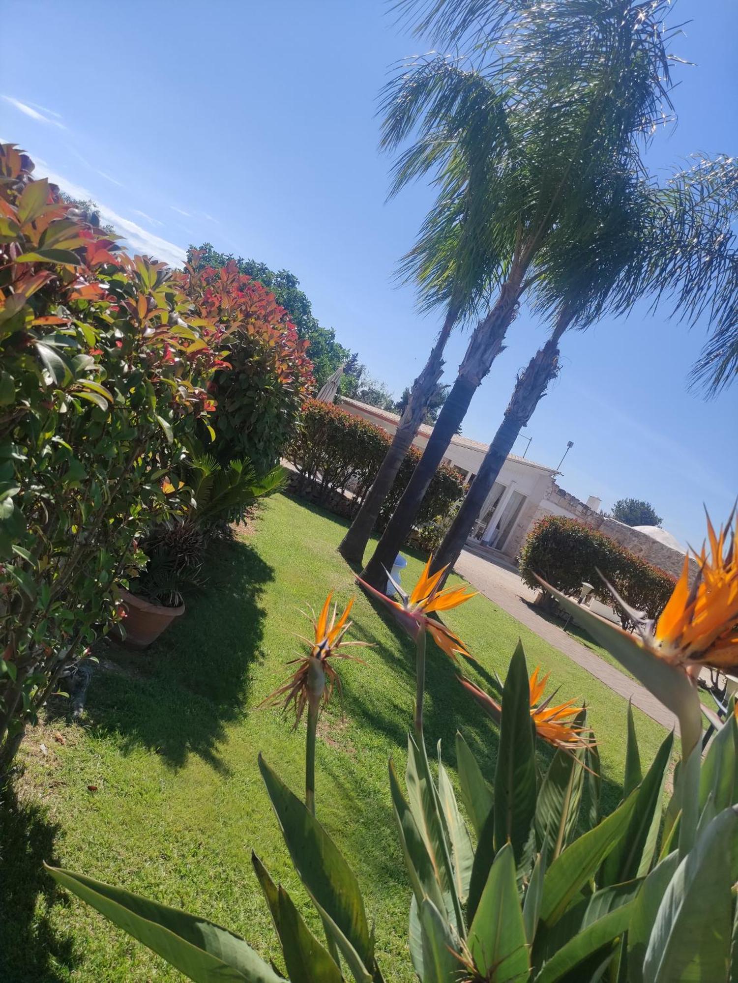 B&B La Vigna Carovigno Extérieur photo